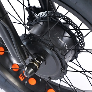 350W 500W 10A 15Ah <span class=keywords><strong>batterie</strong></span> au lithium 20*4 pouces gros pneu 3 roues tricycle <span class=keywords><strong>électrique</strong></span> <span class=keywords><strong>avec</strong></span> panier 3 roues <span class=keywords><strong>vélo</strong></span> cargo <span class=keywords><strong>électrique</strong></span> - Product Image 3
