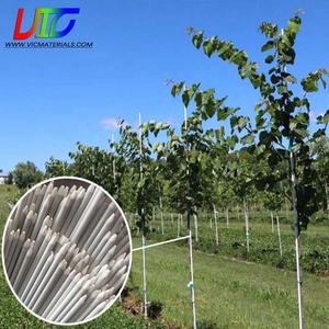 Piquets Offre Spéciale en <span class=keywords><strong>fibre</strong></span> <span class=keywords><strong>de</strong></span> <span class=keywords><strong>verre</strong></span> avec protection UV Tuteurs en <span class=keywords><strong>fibre</strong></span> <span class=keywords><strong>de</strong></span> <span class=keywords><strong>verre</strong></span> haute résistance Piquets <span class=keywords><strong>de</strong></span> jardin en <span class=keywords><strong>fibre</strong></span> <span class=keywords><strong>de</strong></span> <span class=keywords><strong>verre</strong></span> - Product Image 6