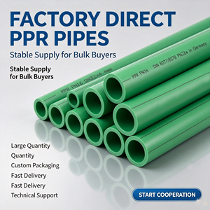 Tubería Térmica PPR <span class=keywords><strong>de</strong></span> 20 mm PN25, Tubo <span class=keywords><strong>de</strong></span> Polipropileno para Agua Caliente, para Sistema <span class=keywords><strong>de</strong></span> Calefacción <span class=keywords><strong>Solar</strong></span>, Combinado con Caldera - Product Image 6