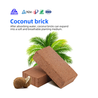 Fiber De Coco en vrac Acheteur Déshydratation Cocopeat Bloc 5kg Basse ce Non Compressé Coco Briques De Tourbe De Coco Croissance Des Plantes Prix pour Vente