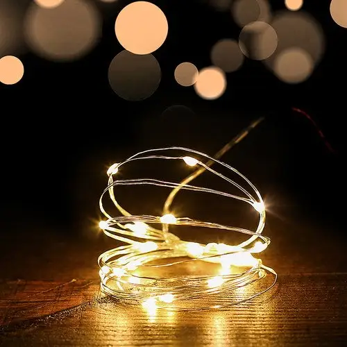 Factory price 10m 100LED Led Copper Wire led String Light for Outdoor Holiday Decoration light