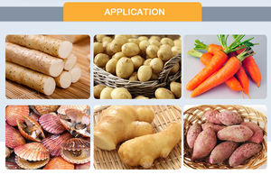 تجارة أوتوماتيكية للخضروات والفواكه ، زنجبيل البطاطس ، اللوتس ، البابايا ، أسطوانة تنظيف البطاطس الحلوة ، و - Product Image 6