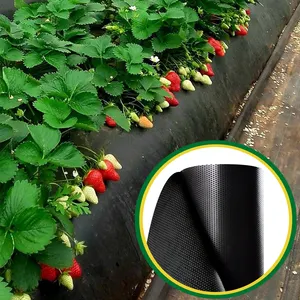 Approvisionnement d'usine 0.6m x 30m utilisation de tissu non tissé de couleur noire pour la couverture de sol en tissu Durable d'agriculture