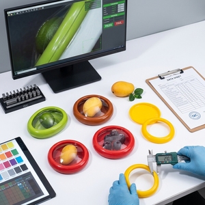 Silicone Fruit Vegetable Anti-Oxidation <strong>Storage</strong> Box Fruit <strong>Storage</strong> Containers <strong>for</strong> <strong>Fridge</strong> - Product Image 5