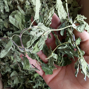 Nouvelle feuille de menthe japonaise crue séchée Sakhalin feuilles de menthe thé à vendre - Product Image 3