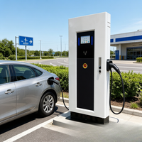 Nuevo Poste de Carga para Vehículos Eléctricos Jinghu para Exteriores, 60kW, Conector CCS2, Montaje en Suelo, Plataforma OCPP Lista para Usar, Resistente a la Intemperie IP54, TA-DC-DD
