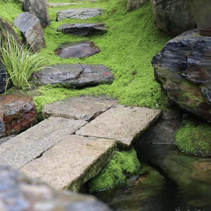 Vente chaude Carreaux de sol en pierre de granit naturelle d'extérieur anglais pour allée - Product Image 3