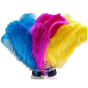 Plumes d'autruche colorées teintées sur mesure en gros pour artisanat promotionnel à prix abordable - Product Image 3