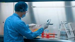 내독소 <0.02 EU/mg-소 타입 I 아틀로콜라겐 스폰지 SL - Product Image 6