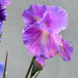 Flor violeta floral de seda artificial grande de <span class=keywords><strong>IRIS</strong></span> morado impreso en 3D DE LA KEWEI-J847 - Product Image 5