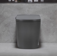 WC monobloc intelligent en céramique émaillée 3D gris de haute qualité, étanche, pour personnes âgées
