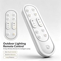 Control Remoto JCXK de 12 Teclas para Lámparas Inteligentes, Controlador de Iluminación Exterior, OEM, ODM, Personalizado