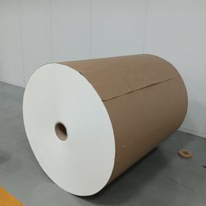 วัตถุดิบกระดาษเคลือบ PE สำหรับทำแก้วกระดาษแบบใช้แล้วทิ้ง - Product Image 5