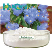 Capsules d'extrait de Cyanotis Arachnoidea pour la musculation, bêta-ecdystérone