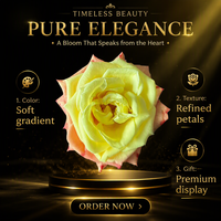 Rose éternelle Margaret : Coffret cadeau de fleurs séchées pour décoration florale de mariage et de maison