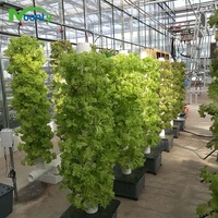 Système de culture hydroponique vertical pour jardin domestique, tour de culture aéroponique pour légumes-feuilles et fraises
