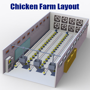 Nouveau système de ligne automatique d'alimentation et de consommation de poulets de chair PUHUI PH-C01 15000 avec matériau PP et garantie 1 an - Product Image 6