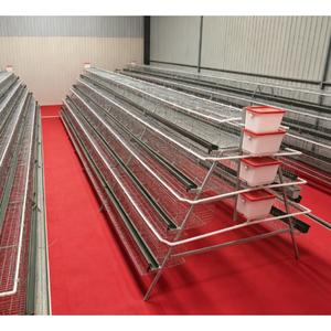 Système de cages automatiques <span class=keywords><strong>pour</strong></span> poules pondeuses de type A de haute qualité, équipement d'élevage avicole, cages à poulets en batterie galvanisées à chaud - Product Image 3
