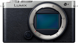 Appareil photo hybride Panasonic DC-S9 (Argent, DC-S9-S) avec capteur CMOS - Product Image 2