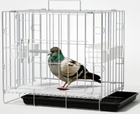 Grande Cage d'élevage de poulets confortable facile à nettoyer et à nourrir fil métallique pliant avec plateau petite Cage pour animaux de compagnie Cage pour pigeons