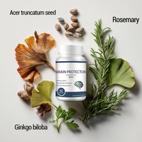 OEM Premium Alpha Brain Complément Capsules Focus Concentration Cerveau Pilules de Soutien à la Mémoire Capsules d'Acide Neuronique