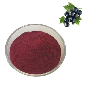 ブラックカラント抽出物<span class=keywords><strong>25%</strong></span> アントシアニン粉末 - Product Image 1