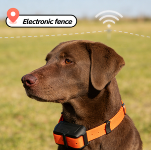 Hete verkoop waterdichte plastic 4G <span class=keywords><strong>GPS</strong></span> hondenvolger halsband TR-<span class=keywords><strong>DOG</strong></span> QY512 met realtime tracking app-besturing elektronische afrastering training - Product Image 2