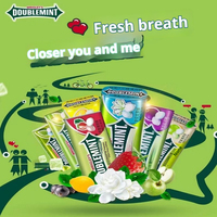 Wholesale Multi Fruity Peppermint Sugar Free Tablet Candy 23.8g Mini Metal Box Fresh Breath