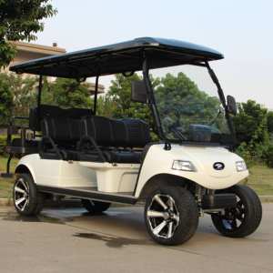 Vente en gros de voiturette de golf électrique de ferme HDK EVOLUTION à batterie au lithium avec roues à 6 places à vendre - Product Image 4