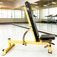 Banc de musculation réglable professionnel robuste, inclinable et déclinable, équipement de gym pour l'entraînement de force