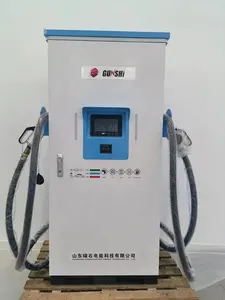 스마트 더블 건 30kw 60kw 80kw 에브 자동차 공용 충전소 DC 고속 충전 스테이션