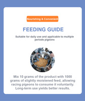 Poudre de levure nutritionnelle pour Pigeons de course