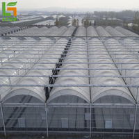 Serre commerciale pour l'agriculture pour la culture de tomates