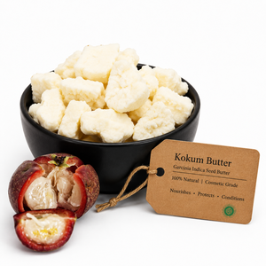 Beurre de Kokum Brut Biologique en Gros pour Peau, Cheveux, Corps, Fabrication de Savon pour les Lèvres - 100% Pur Extrait Végétal Naturel, Pressé à Froid Non Raffiné, 1kg - Product Image 1