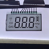 Module LCD TN personnalisé de 3,5 pouces avec capteur de CO, affichage à code segmenté, alarme monoxyde de carbone avec direction de visualisation à 6 heures