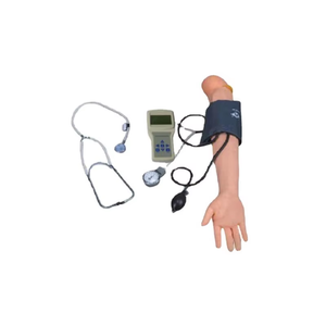 Modèle de bras droit adulte avec fonction de mesure de la pression artérielle modèle d'enseignement de bras de formation médicale multifonctionnel - Product Image 4