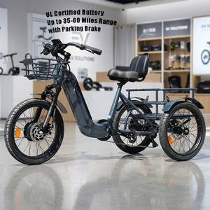 Tricycle Électrique Adulte à Trois Roues avec Panier Avant, Vélo Cargo Électrique 500W Durable <span class=keywords><strong>pour</strong></span> le Transport Urbain et les Courses Familiales - Vente en Gros - Product Image 1