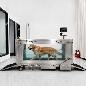 Medium Dog Home Fitness Training Rehabilitation Waterproof Hydrotherapy Electric Motorized Treadmill for Veterinary Clinics - Product Image 1