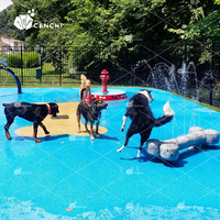 Cenchi Tapis d'entraînement pour chiens, Équipement pour hôtels et complexes hôteliers pour animaux, Aire de jeux extérieure commerciale, Fabricant de produits pour animaux de compagnie