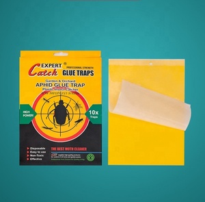 Pièges à insectes collants jaunes double face en plastique, vente en gros à prix abordable, pour serres maraîchères et lutte contre les fourmis - Product Image 4
