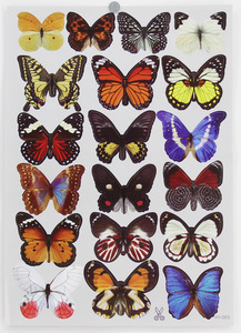 Adesivo da <span class=keywords><strong>parete</strong></span> a farfalla di cristallo colorato 3d con adesivo Art decalcomania di carta satinata farfalla bambino camera da letto casa fai da te - Product Image 6