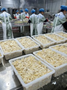 Champignon nấm trong nước muối đóng hộp thái lát đóng hộp nấm với quá trình bảo quản - Product Image 6