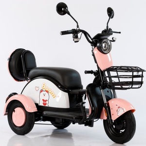 Tricycle Motorized Cargo Electric Bicycle Three Wheel Electric Scooters Bike Electric Tricycle for Adults - Product Image 1