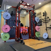 TTFLEX Cadre d'entraînement Smith 2-en-1 intégré - Matériel en caoutchouc, poids de 140 kg pour une utilisation à domicile