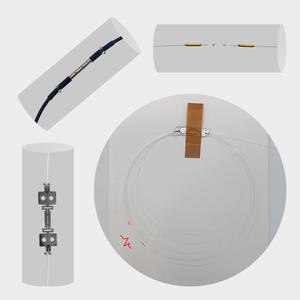 Paramètres Fbg longueur d'onde centrale 1560nm peut être personnalisé dispositif optique SAMYON indice de réfraction fibre inclinée réseau bragg - Product Image 2