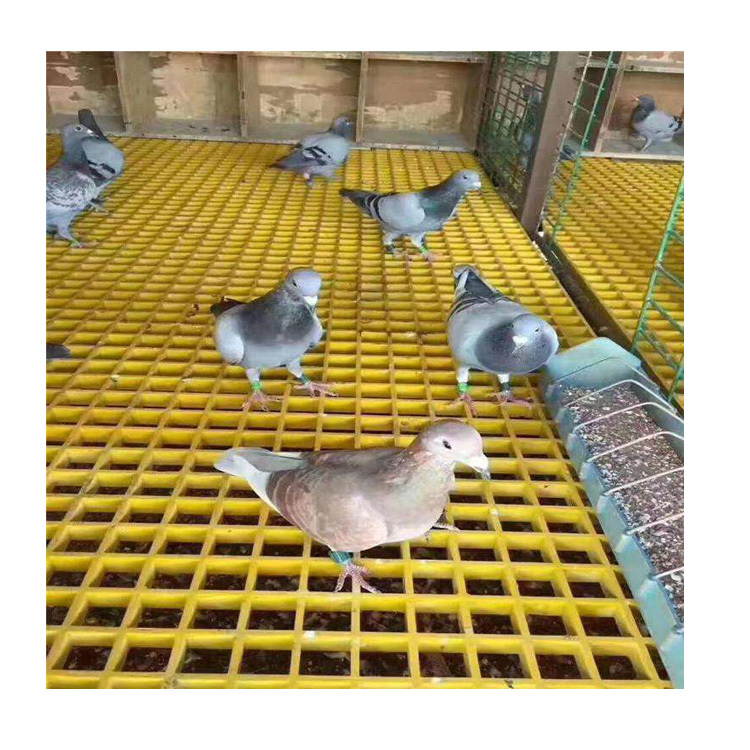 Corrosion Resistant Frp Animal Floor Grating