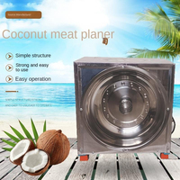 Machine électrique en acier inoxydable 300W pour le traitement de la noix de coco, râpe, hachoir à viande, broyeur, gratteur, robot culinaire
