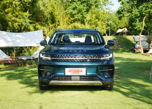 Camioneta eléctrica Geely Radar Rd6, camioneta china de 4 puertas y 5 asientos, coche usado, 2023 - Product Image 3