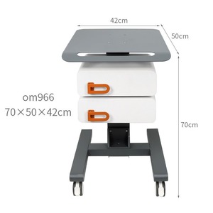 Salon Trolley Spa Equipment Trolley Carts with Wheels Mobile for Portable Beauty Machine Salon Carts - Product Image 2