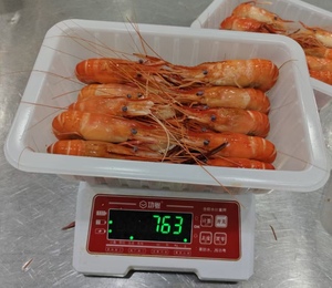 Langostinos Gigantes de Río Congelados y Cocidos, Sin Sazonar, <span class=keywords><strong>Precio</strong></span> Económico de Temporada - Product Image 4